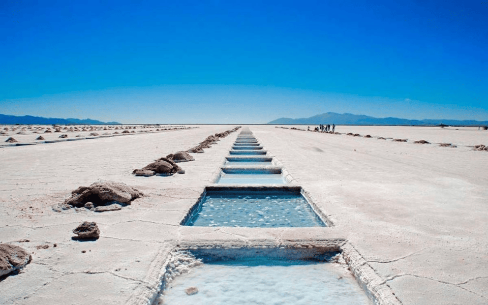 Salinas Grandes y Purmamarca - Foto 2
